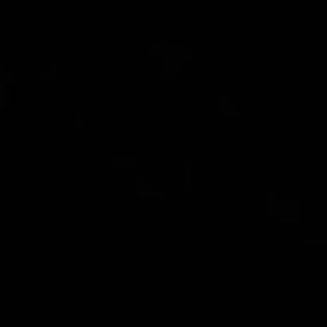 Meet your Posher, Nat